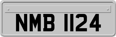 NMB1124
