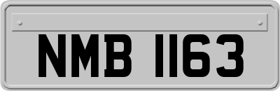 NMB1163