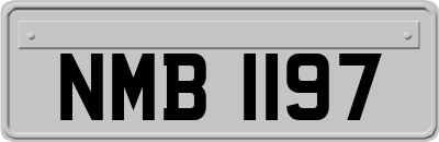 NMB1197