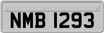 NMB1293
