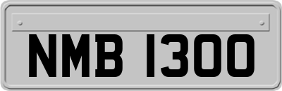NMB1300