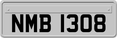 NMB1308