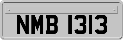 NMB1313