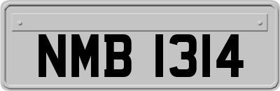NMB1314