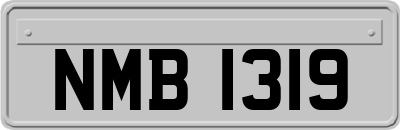 NMB1319