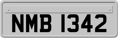 NMB1342