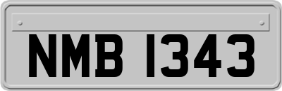 NMB1343