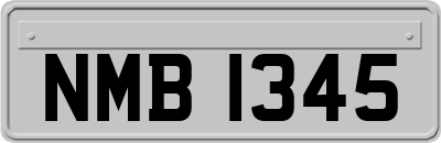 NMB1345