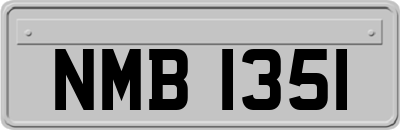 NMB1351