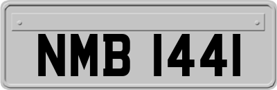 NMB1441