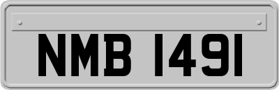 NMB1491