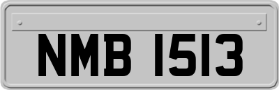 NMB1513