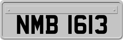 NMB1613