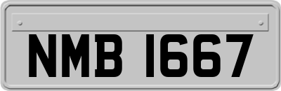 NMB1667