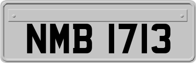 NMB1713