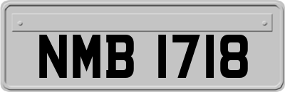 NMB1718