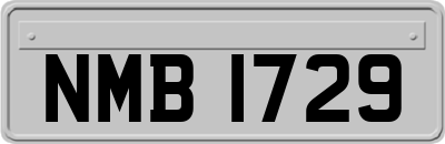 NMB1729