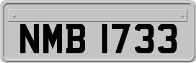 NMB1733