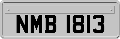 NMB1813