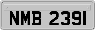 NMB2391