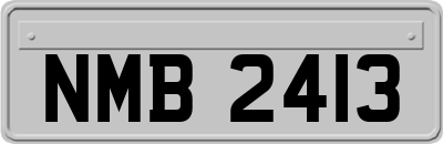 NMB2413