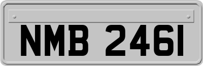 NMB2461