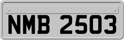 NMB2503