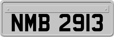 NMB2913