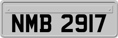 NMB2917