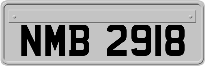 NMB2918