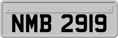 NMB2919