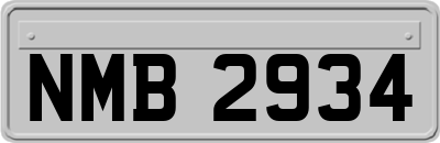 NMB2934