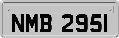 NMB2951