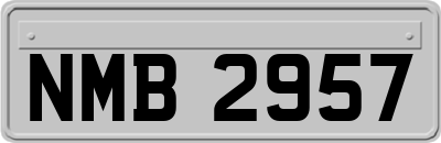 NMB2957