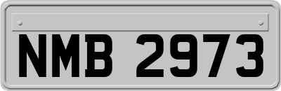 NMB2973
