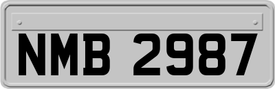 NMB2987