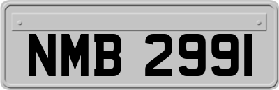 NMB2991