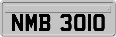 NMB3010