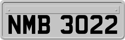 NMB3022