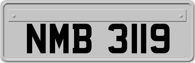 NMB3119