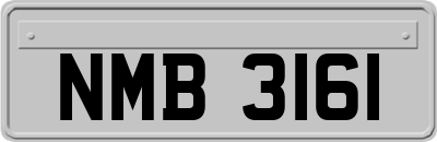 NMB3161