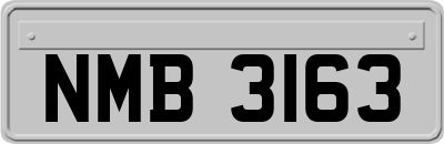NMB3163