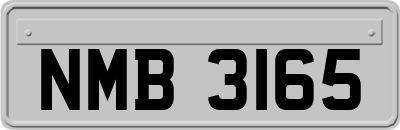 NMB3165