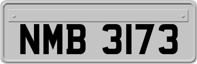 NMB3173