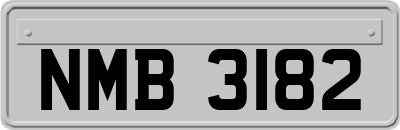 NMB3182