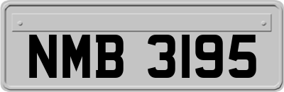 NMB3195