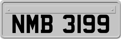 NMB3199