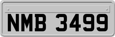 NMB3499