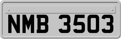 NMB3503