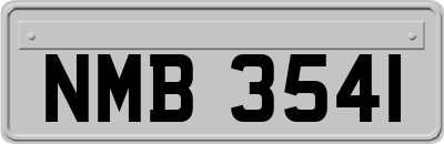 NMB3541
